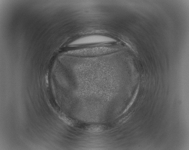 X0000082760358200702162031