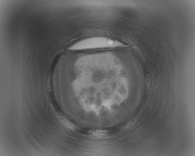 X0000082760359200702162031