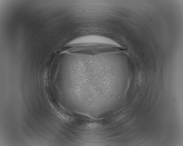 X0000082760360200702162031