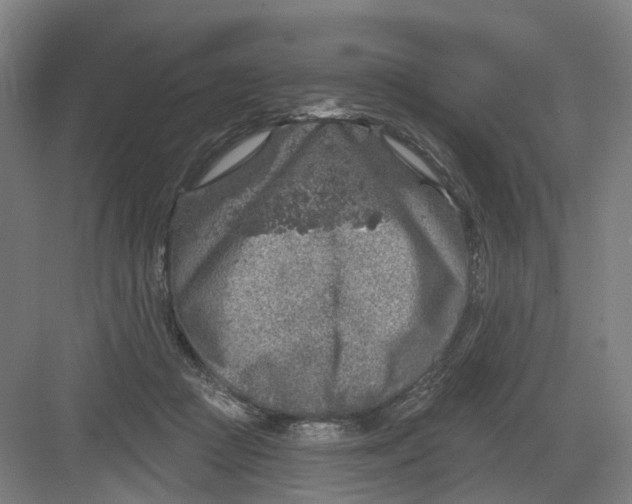 X0000082760361200702162031