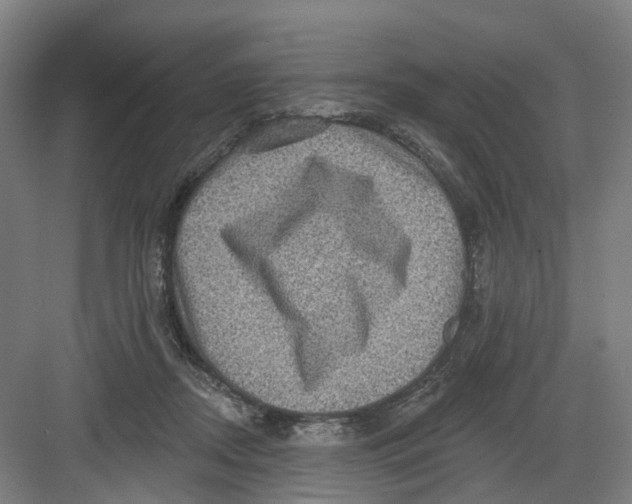 X0000082760362200702162031