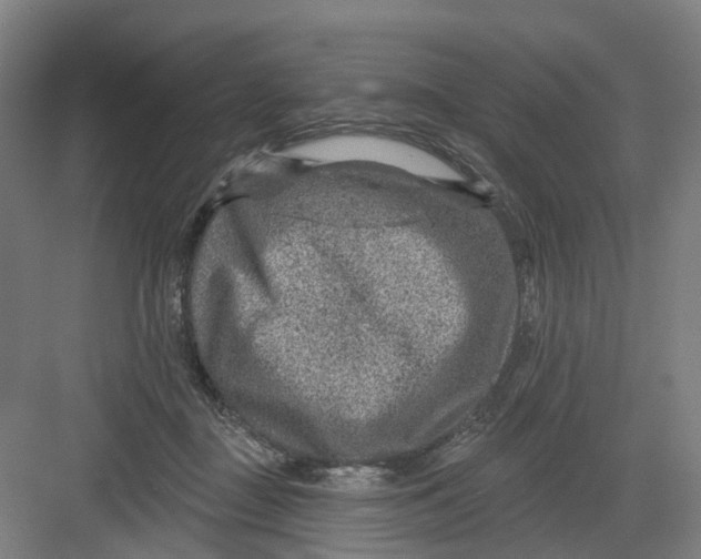 X0000082760363200702162031