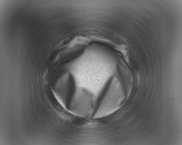 X0000082760364200702162031