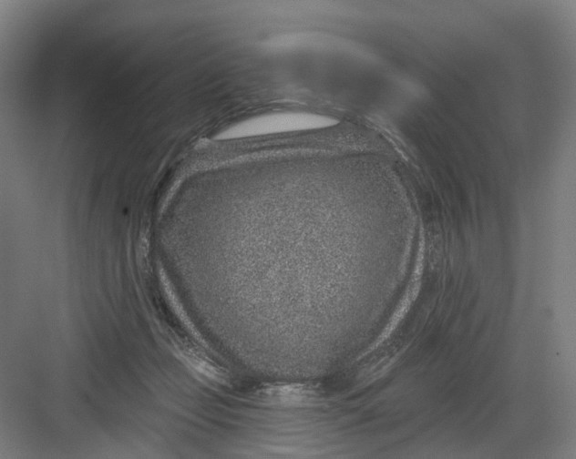 X0000082760365200702162031