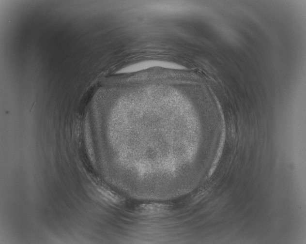 X0000082760367200702162031