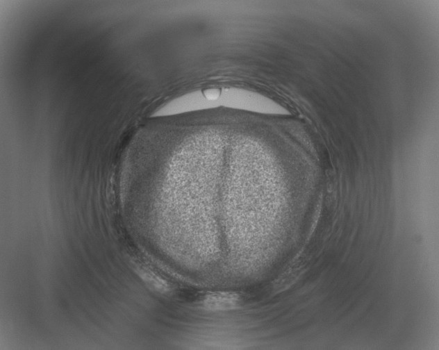 X0000082760369200702162031