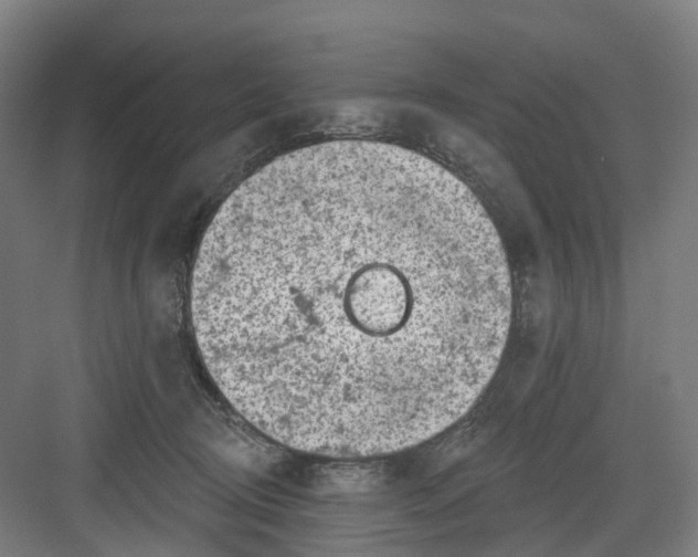 X0000082760370200702162031