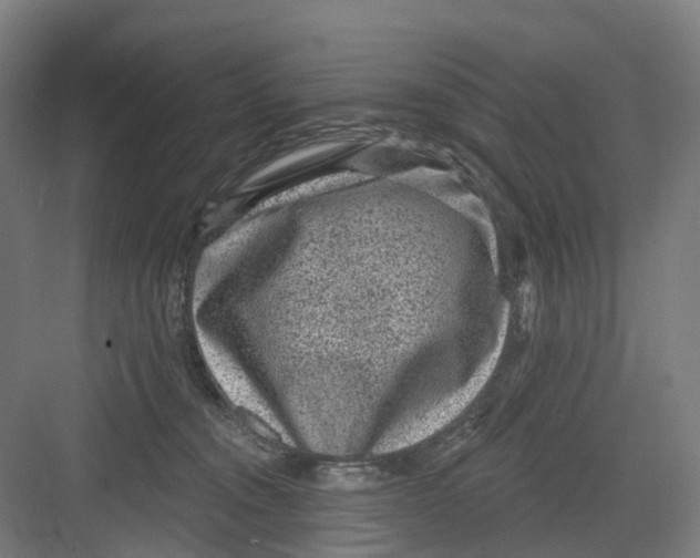 X0000082760372200702162031