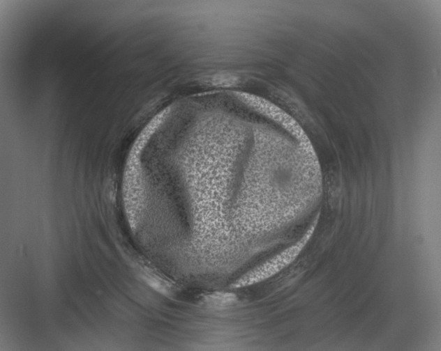 X0000082760374200702162031