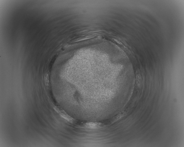 X0000082760375200702162031