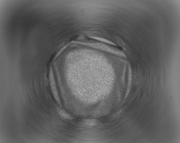 X0000082760377200702162031