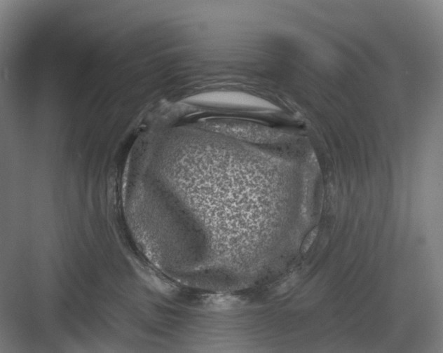 X0000082760379200702162031