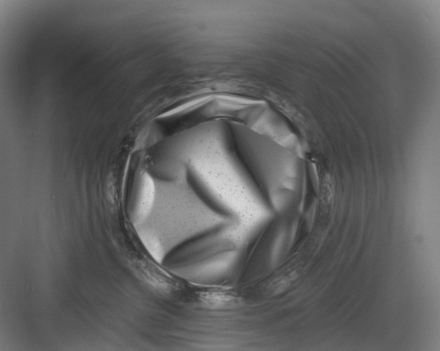 X0000082760380200702162031