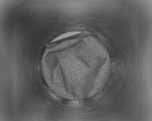 X0000082760381200702162032