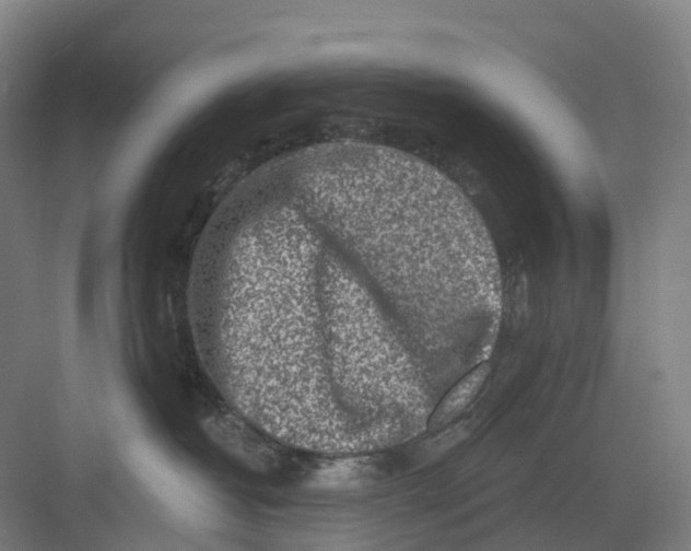 X0000082760382200702162032