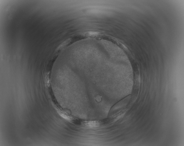 X0000082760383200702162032