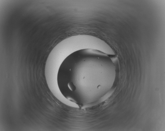 X0000082760384200702162032