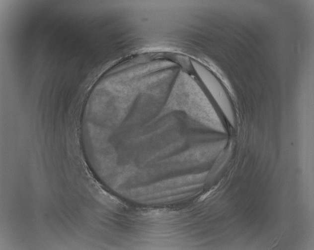 X0000082760385200702162031