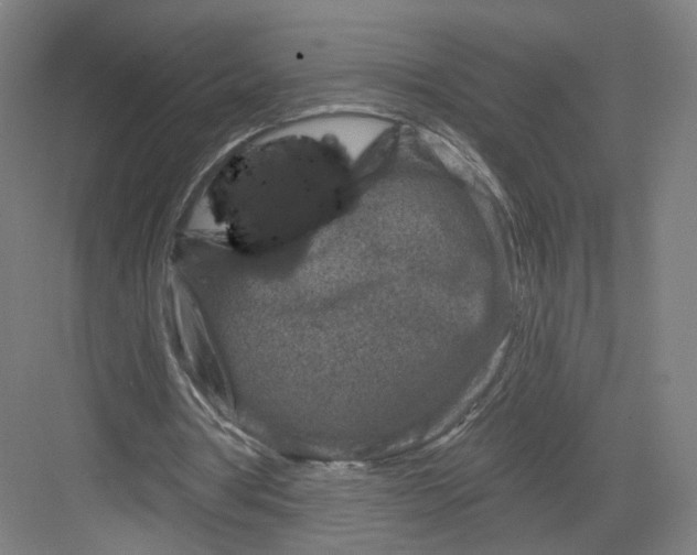 X0000082760386200702162031