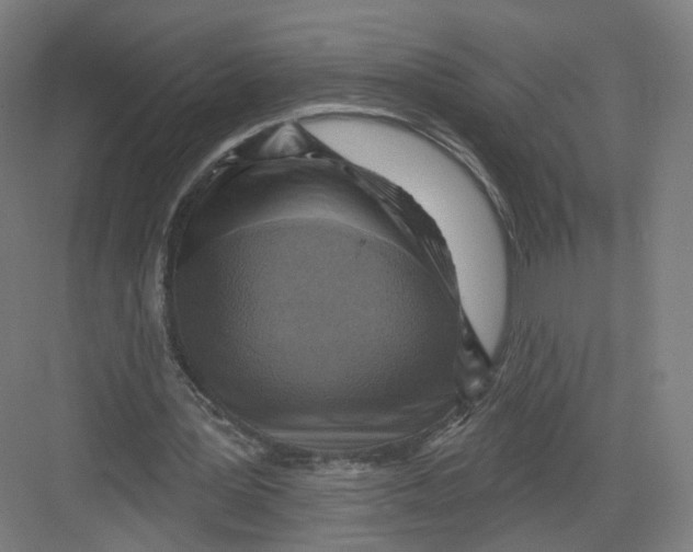 X0000082760387200702162031