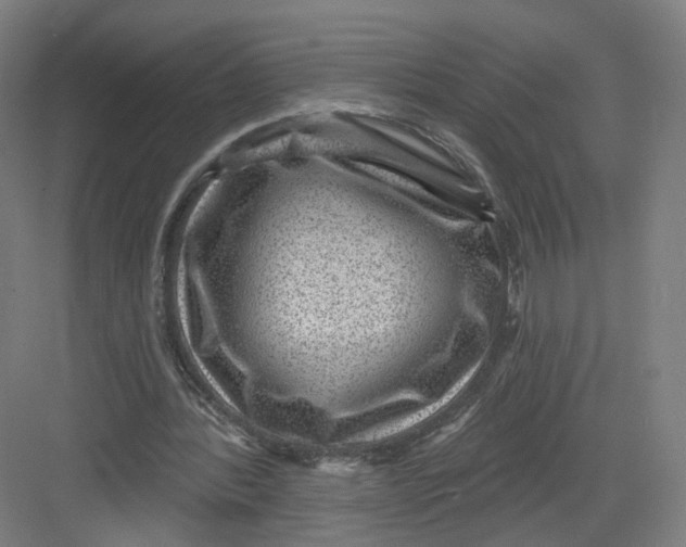 X0000082760388200702162031