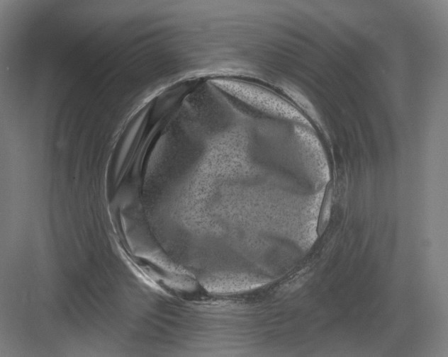 X0000082760389200702162031