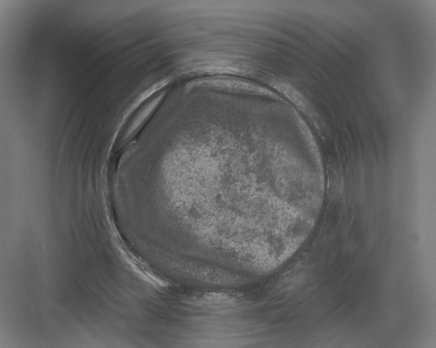 X0000082760390200702162031