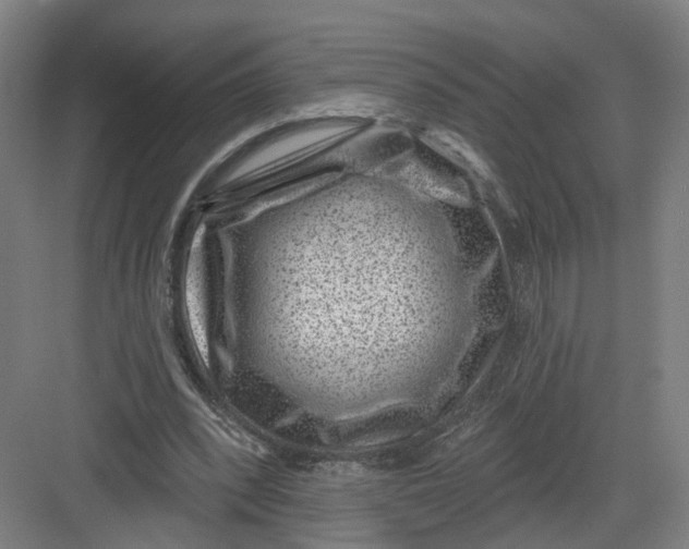 X0000082760392200702162031