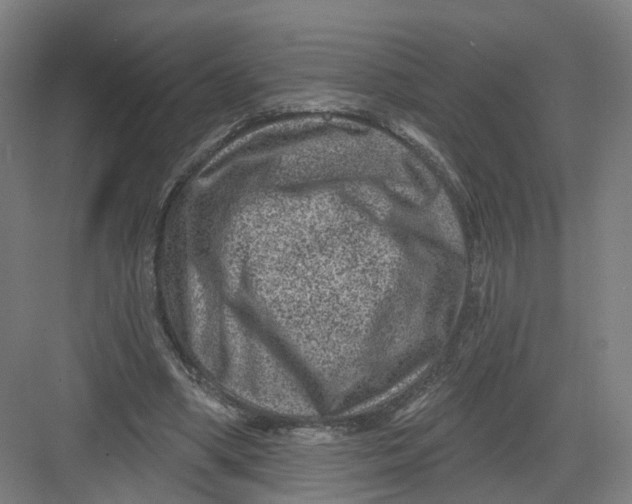 X0000082760394200702162031