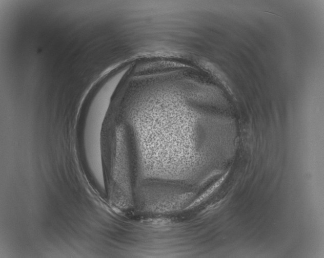 X0000082760395200702162031