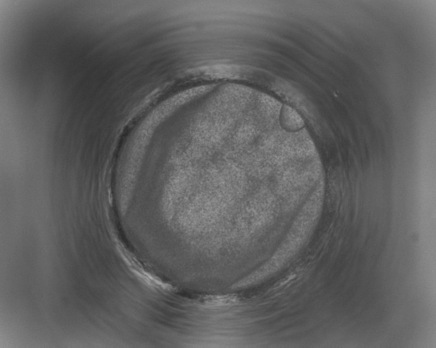 X0000082760398200702162031