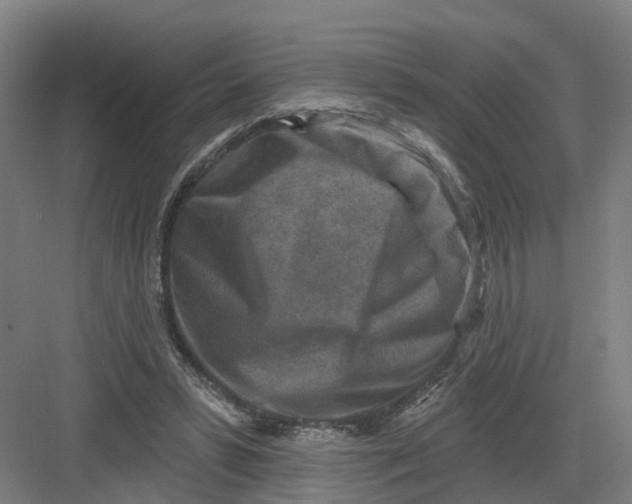 X0000082760399200702162031