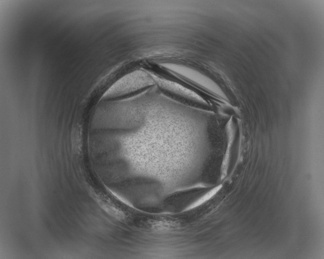 X0000082760400200702162031