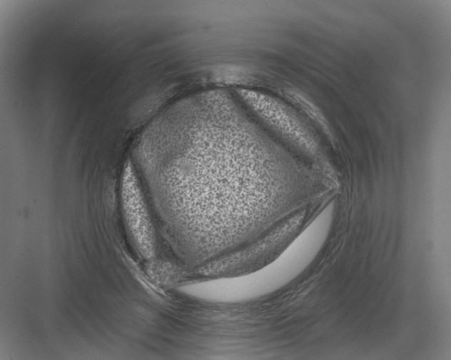 X0000082760401200702162030