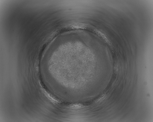 X0000082760402200702162030