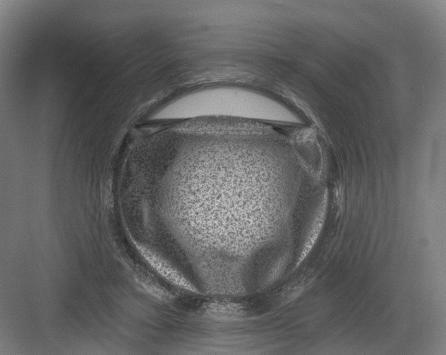 X0000082760403200702162030