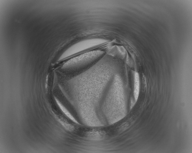 X0000082760404200702162030