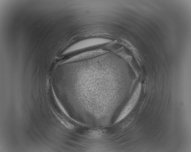 X0000082760405200702162030