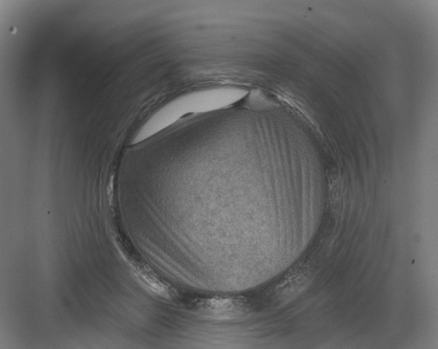 X0000082760406200702162030