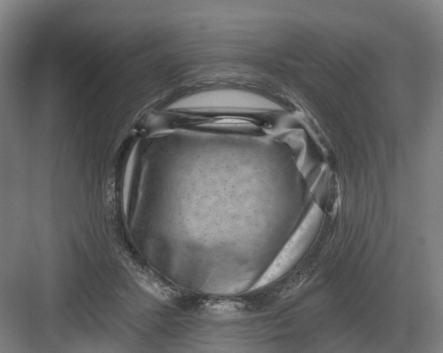 X0000082760407200702162030