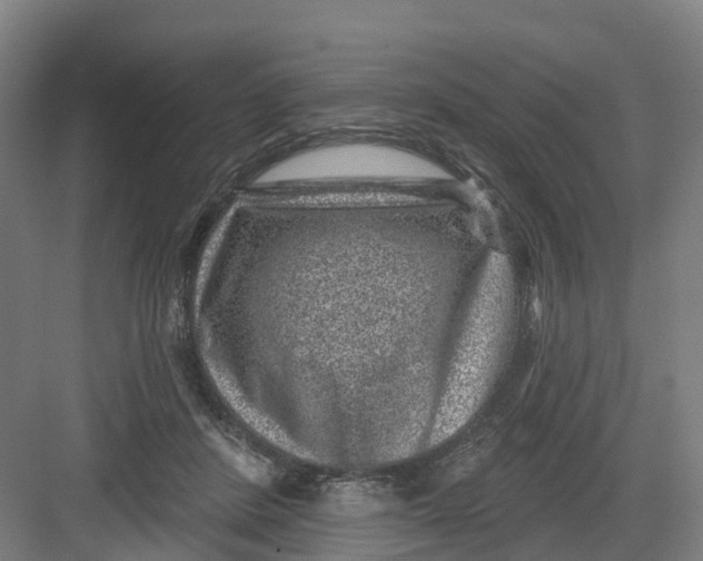 X0000082760408200702162030