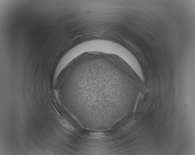 X0000082760409200702162030