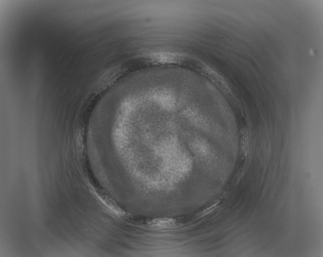 X0000082760410200702162030