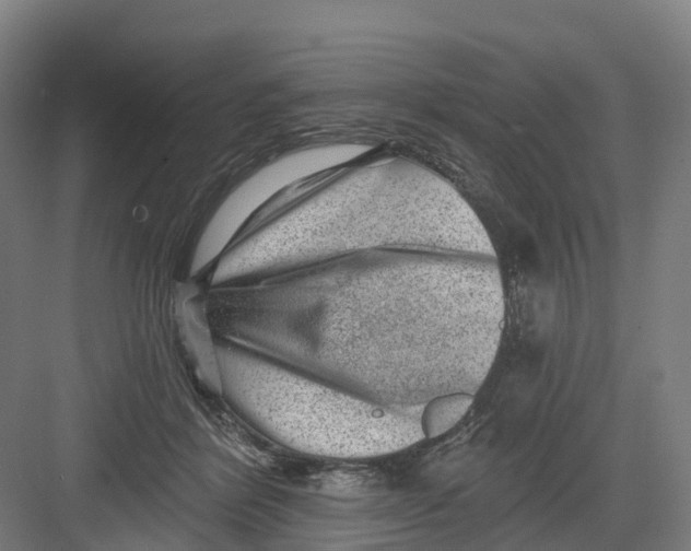 X0000082760412200702162030