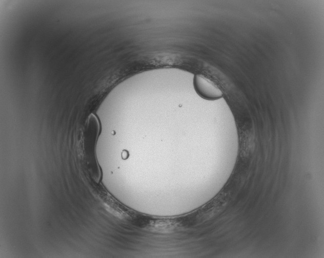 X0000082760414200702162030