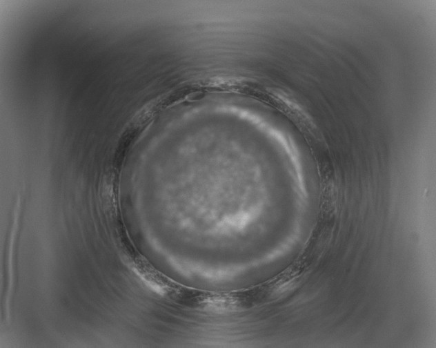 X0000082760415200702162030