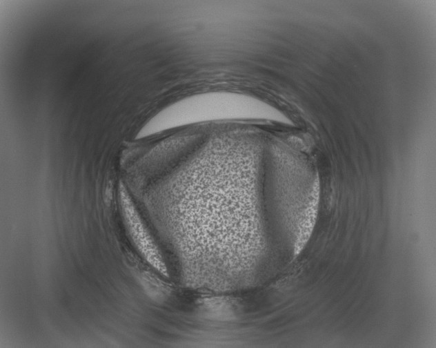 X0000082760417200702162030