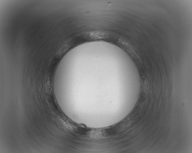 X0000082760418200702162030