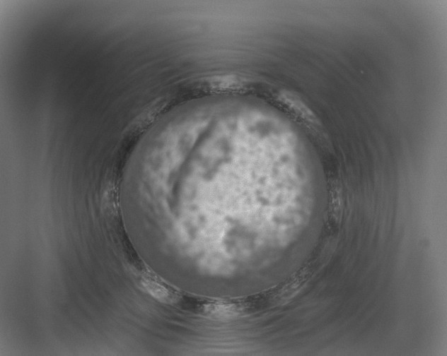 X0000082760419200702162030