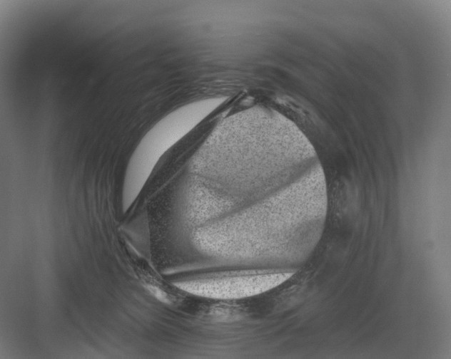 X0000082760420200702162030